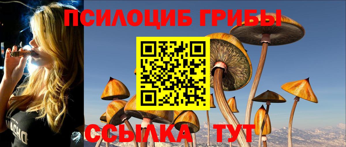 Галлюциногенные грибы Psilocybe  Вход с VPN  Орёл 